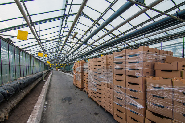 The existing agricultural complex in Kherson